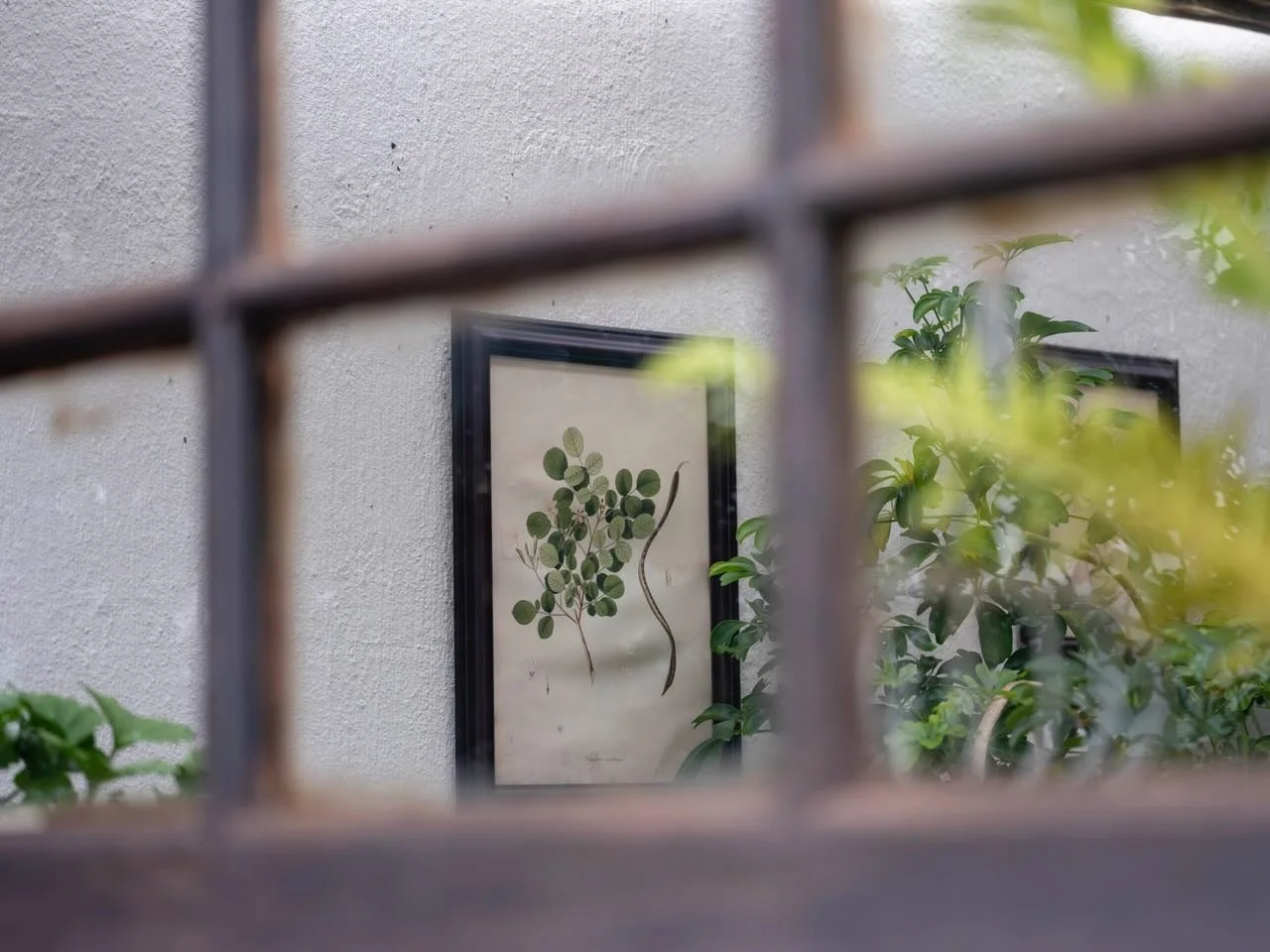 Picture perfect 🤩🪴 Our restaurant opens daily for breakfast, lunch &amp; dinner. Come visit us 👌

@cafe_paradiso_cpt #cafeparadiso #restaurant #bar #cafe #capetown @all.yours.co