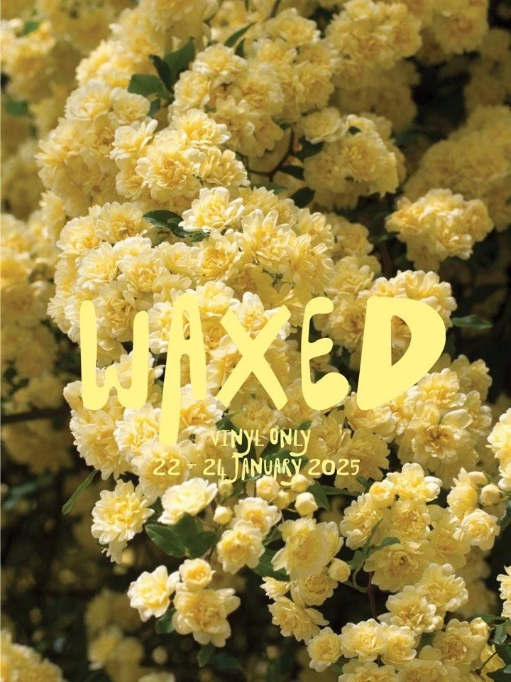 It&rsquo;s a wonderful opportunity to come get silly and enjoy the weekend with us 🤩🎵🍸🪩

@c__a__r__g__o #cargo #cafe #restaurant #capetown #southafrica @all.yours.co