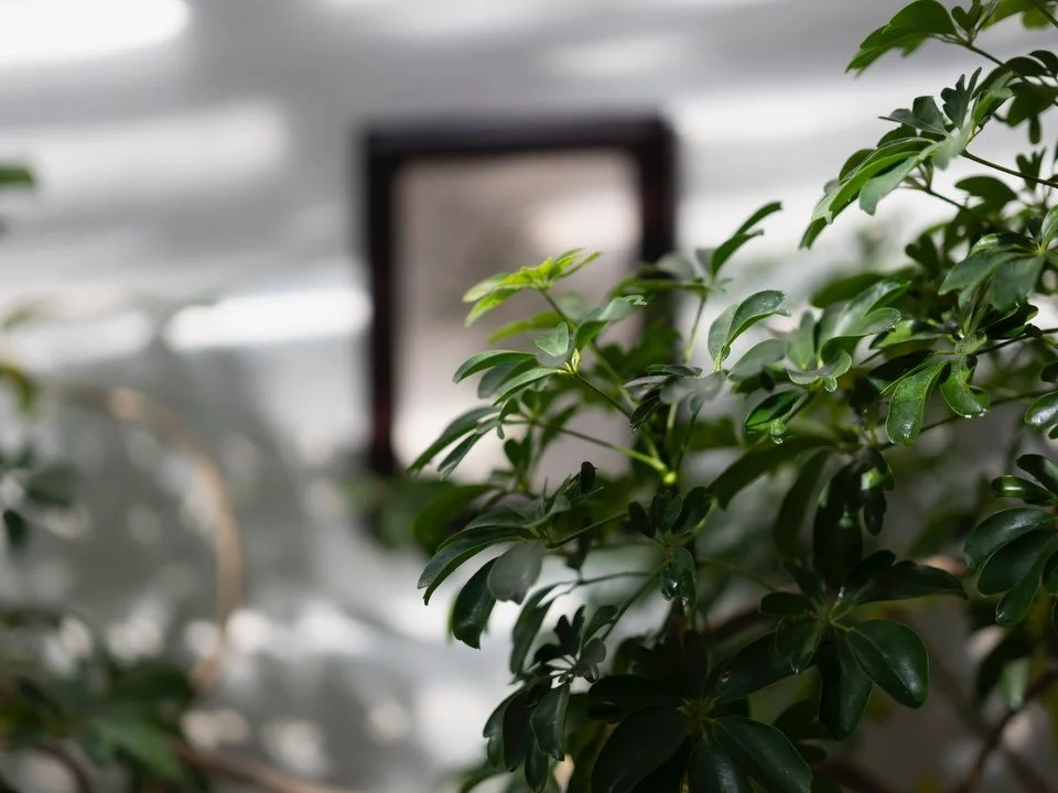 Winter is fast approaching and we&rsquo;re excited for cold days, sitting next to the fire 🔥 enjoying the company of close friends &amp; family..

@cafe_paradiso_cpt #cafeparadiso #restaurant #bar #capetown @all.yours.co