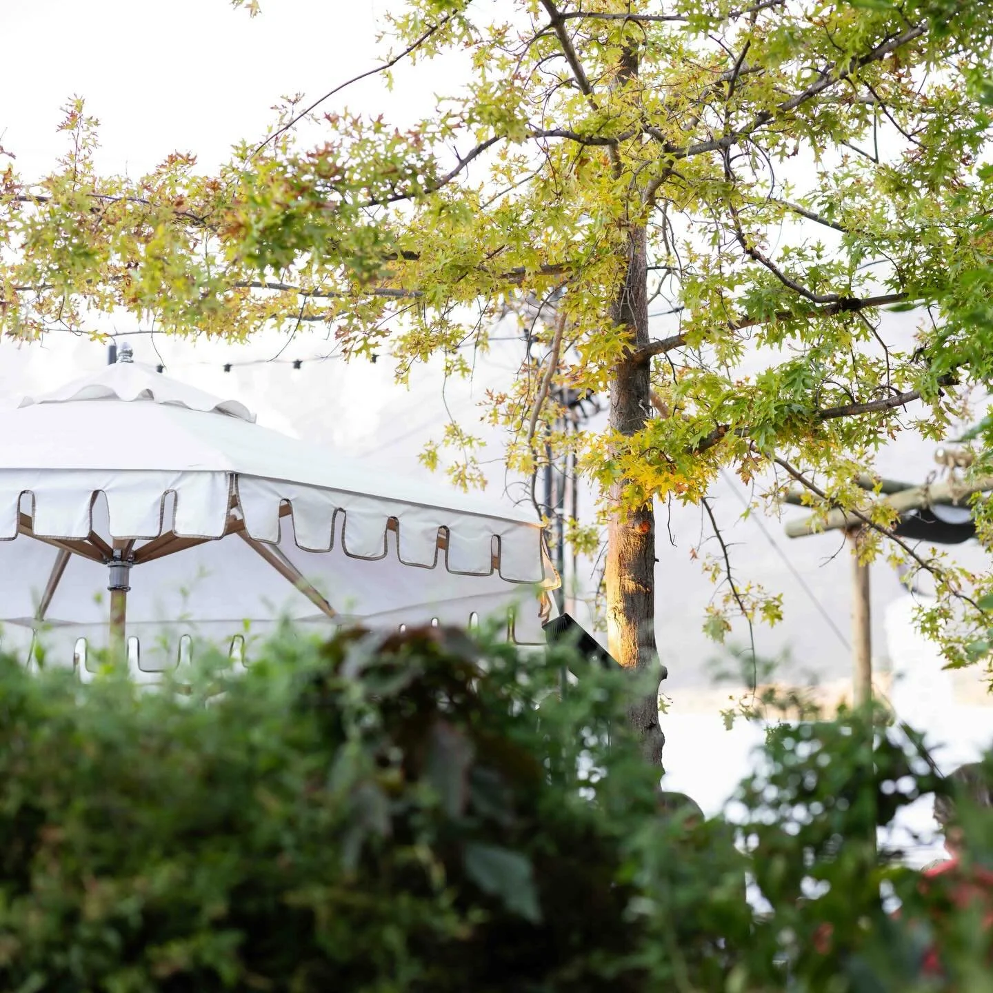 It&rsquo;s the most perfect day to come enjoy our restaurant and the beautiful outside area&hellip; Happy Friday 🌞👌🥰🌿

@cafe_paradiso_cpt #cafeparadiso #restaurant #cafe #bar #capetown @all.yours.co