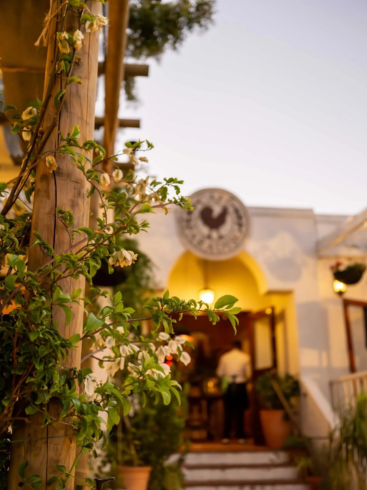 OPEN for breakfast, lunch &amp; dinner daily&hellip;. stay tuned for some amazing winter specials ahead along with our amazing Jazz nights. 👌🤩🪴🎵🪩🥂🍷

@cafe_paradiso_cpt #cafeparadiso #restaurant #bar #cafe #capetown @all.yours.co