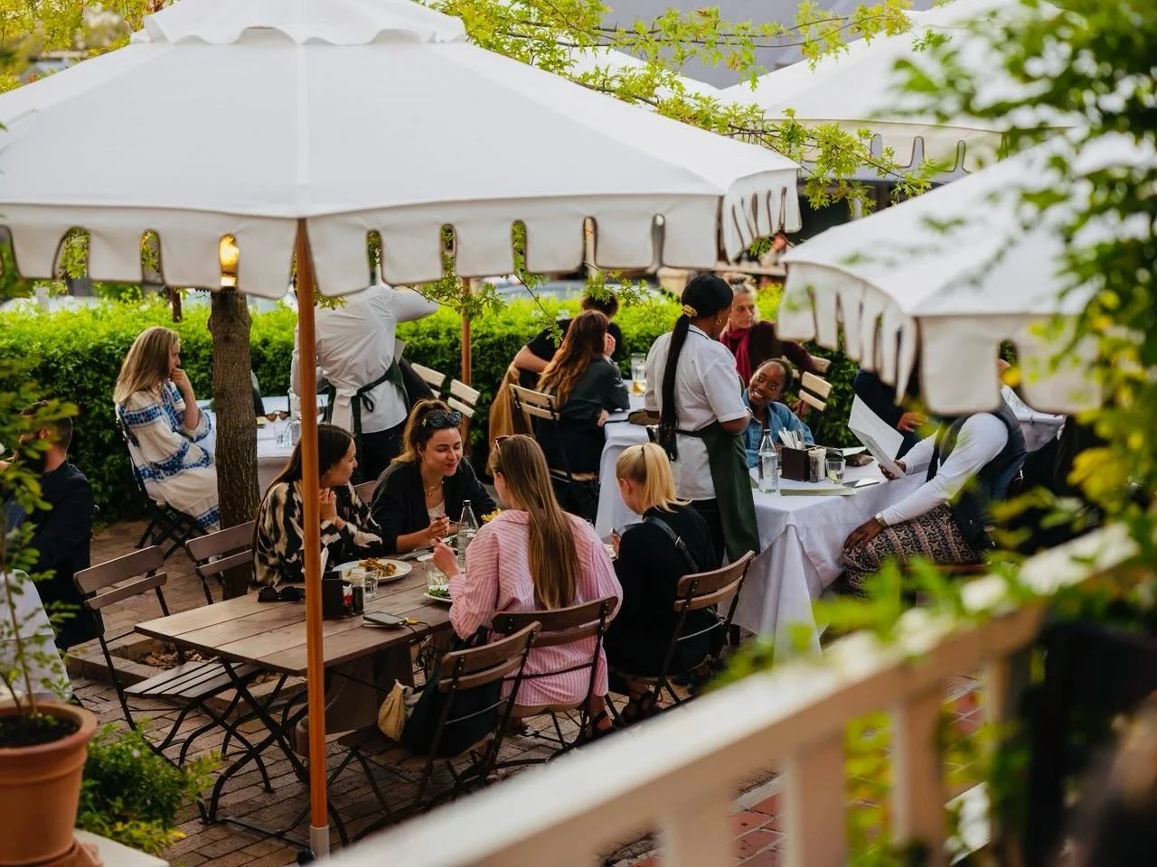 We very much encourage you to be outside on a day like today&hellip;..🤩👍🌿 More specifically, we encourage you to be outside with us 😂

@cafe_paradiso_cpt #cafeparadiso #cafe #restaurant #bar #capetown @all.yours.co
