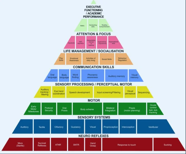 The Developmental Pyramid