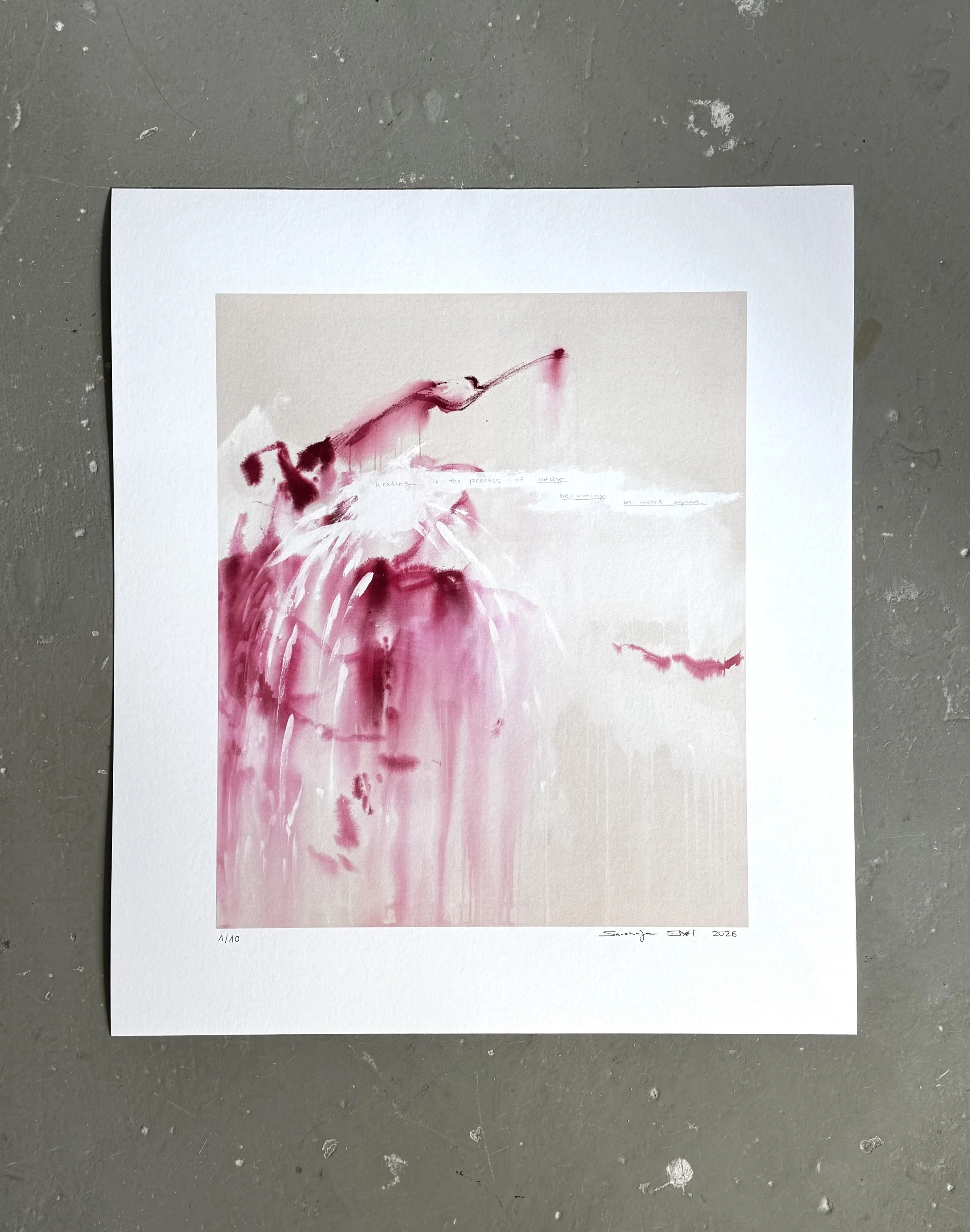 Orchid - Fine Art Print
