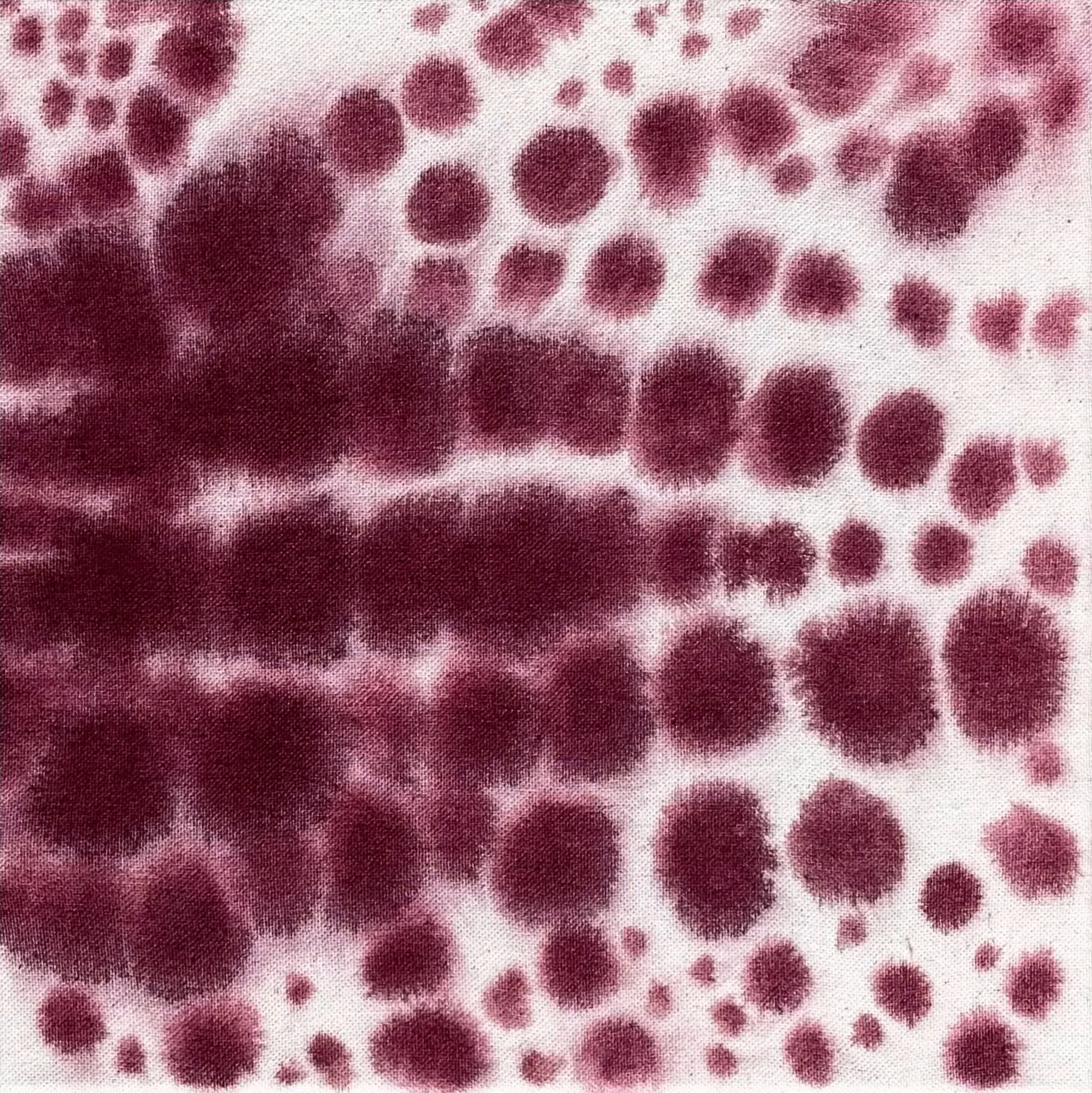 Orchid Study 1, 2026.
