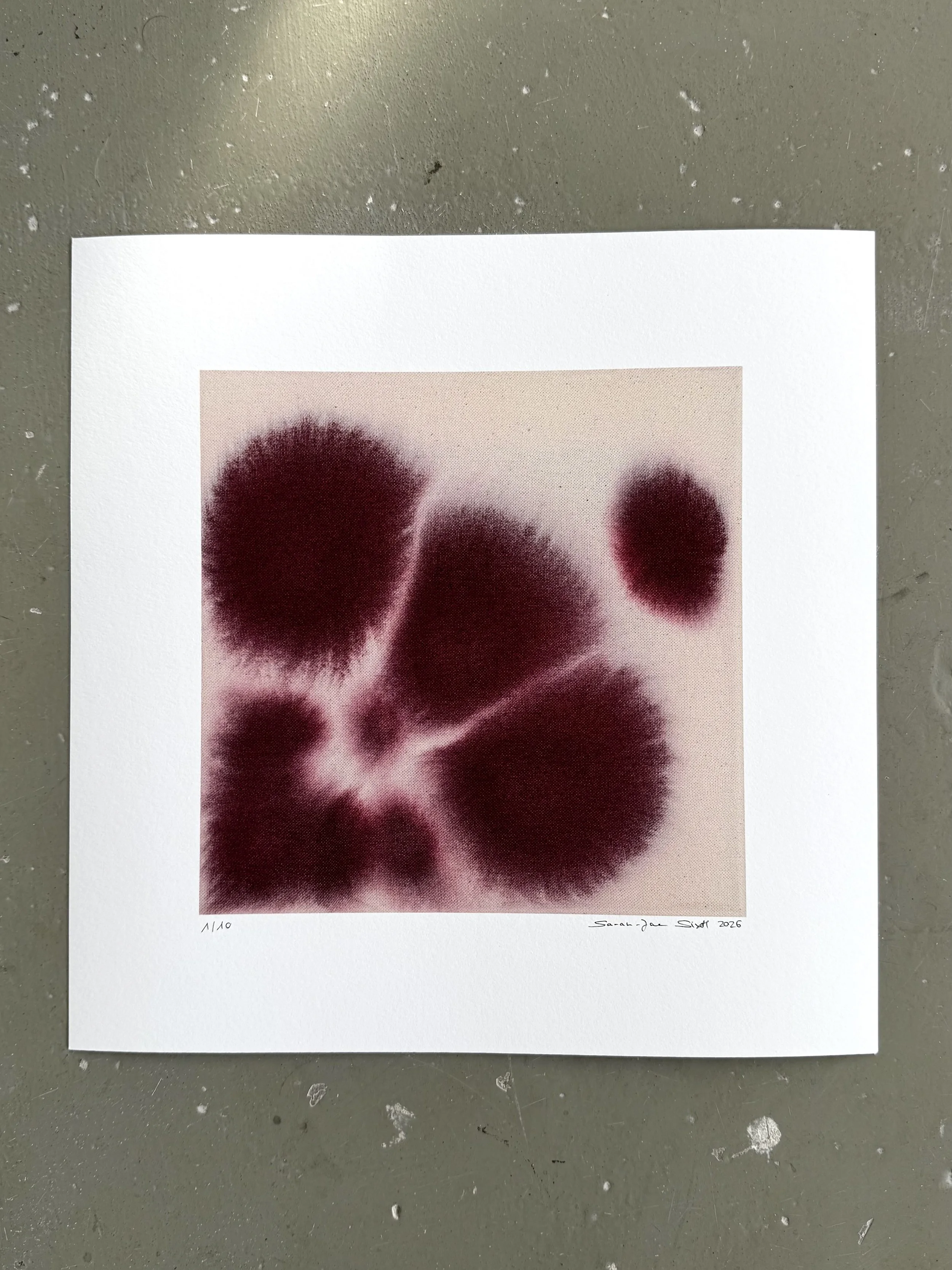 Orchid Study 2 - Fine Art Print