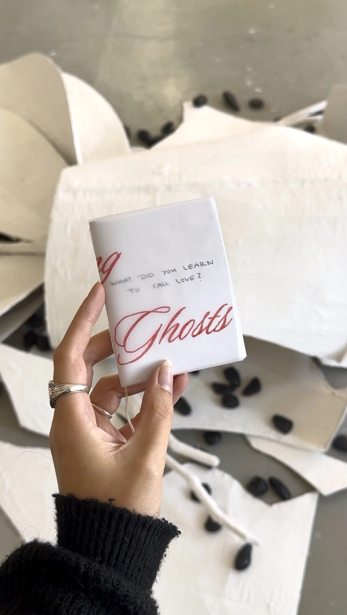 Chasing Ghosts Zine