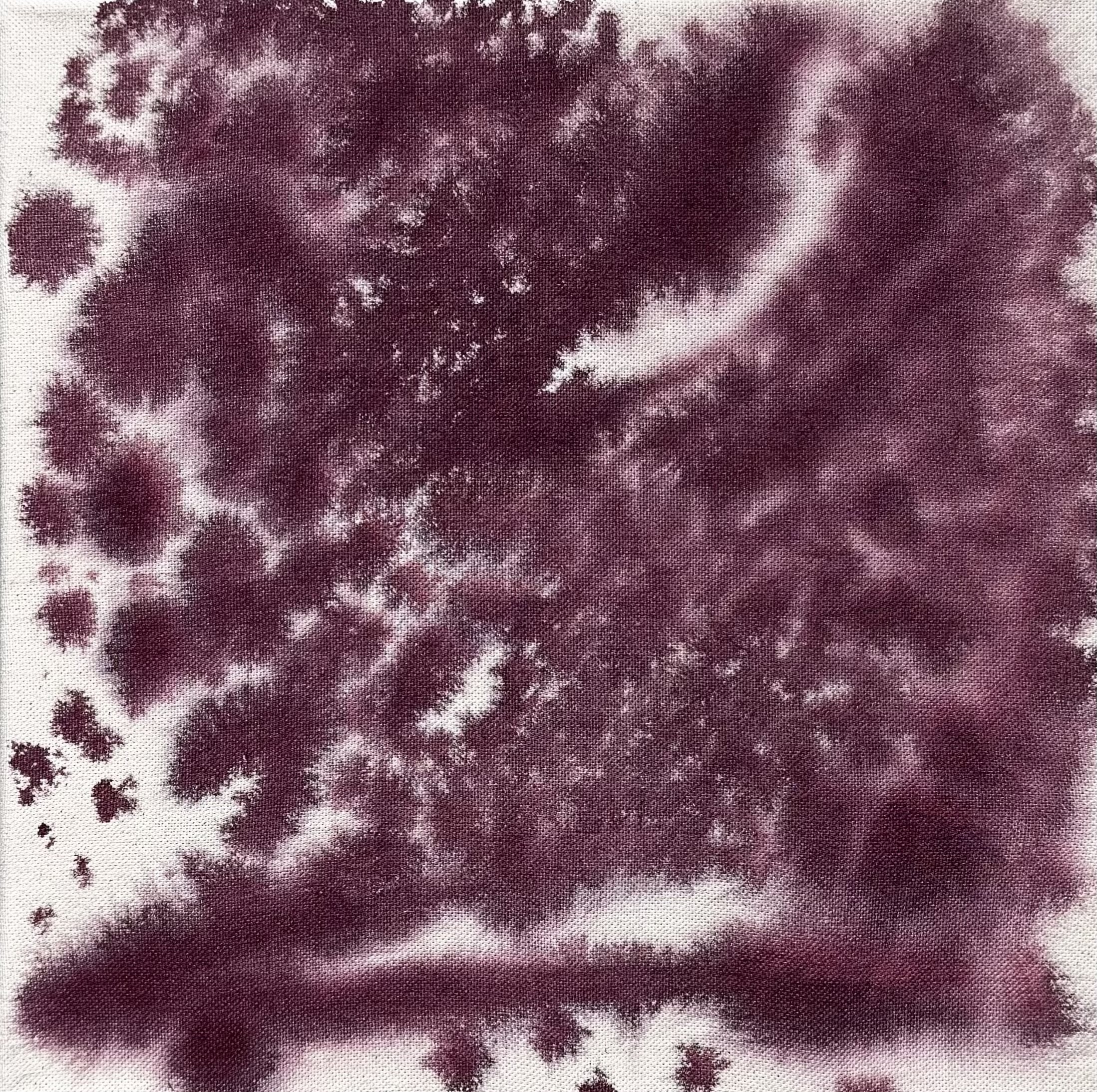 Orchid Study 4, 2026.