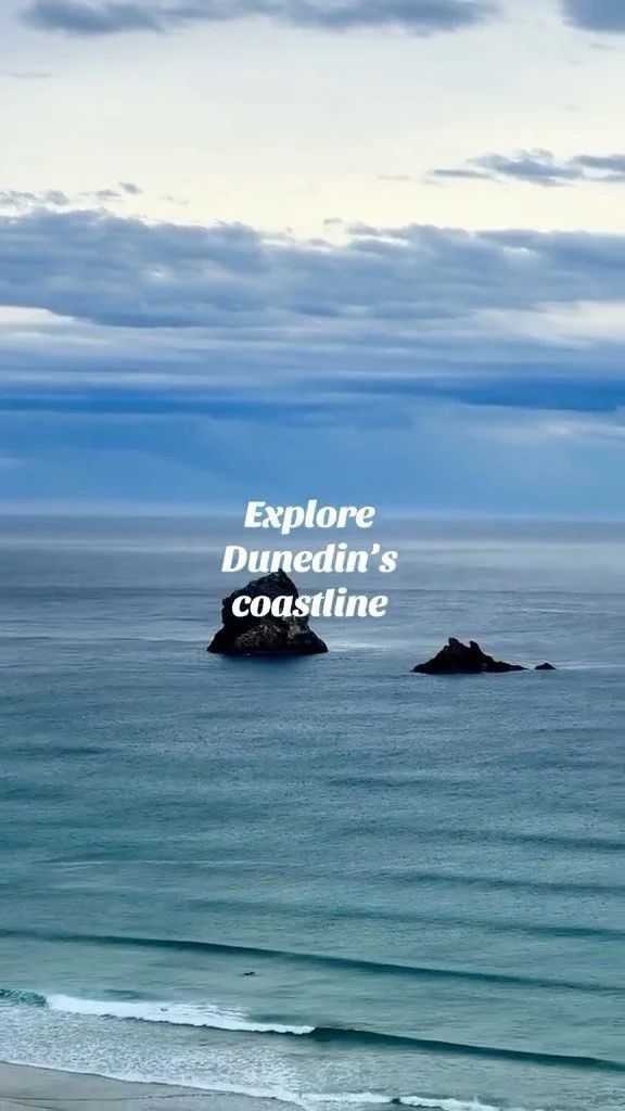 What are some of your favourite spots along Dunedin’s coastline? #dunedinnz #ōtepoti #thedunedinessential #dunedinnewzealand #dunedinbeach #nzbeaches