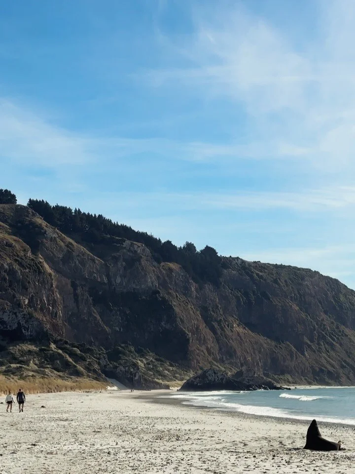 Here and there #dunedinnewzealand

1. Aramoana Beach 🦭
2. Ring Wax Carving Workshop with @moonfish_silver 
3. Quarantine Island 🏝️
4. Matcha options for days at @fluid.espresso 
5. Takeout day 
6. First visit to @olvestonhistorichome 
7. Ross Creek