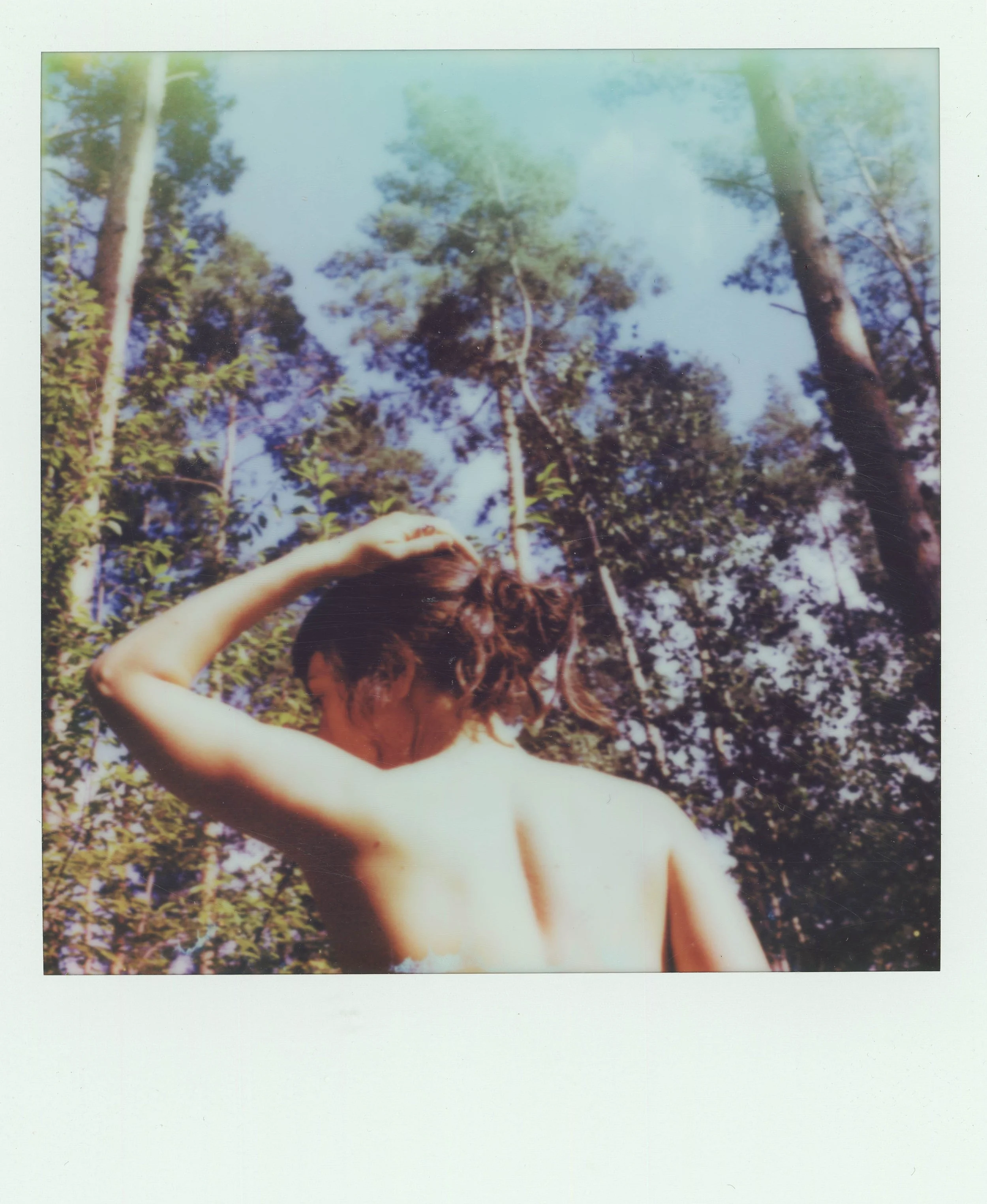 A-forest.jpg