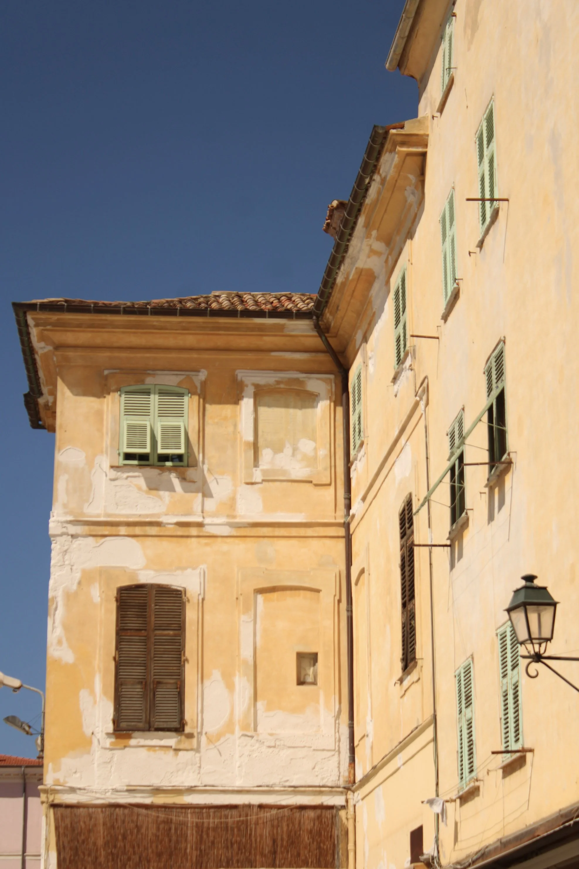 IMG_1514.jpg