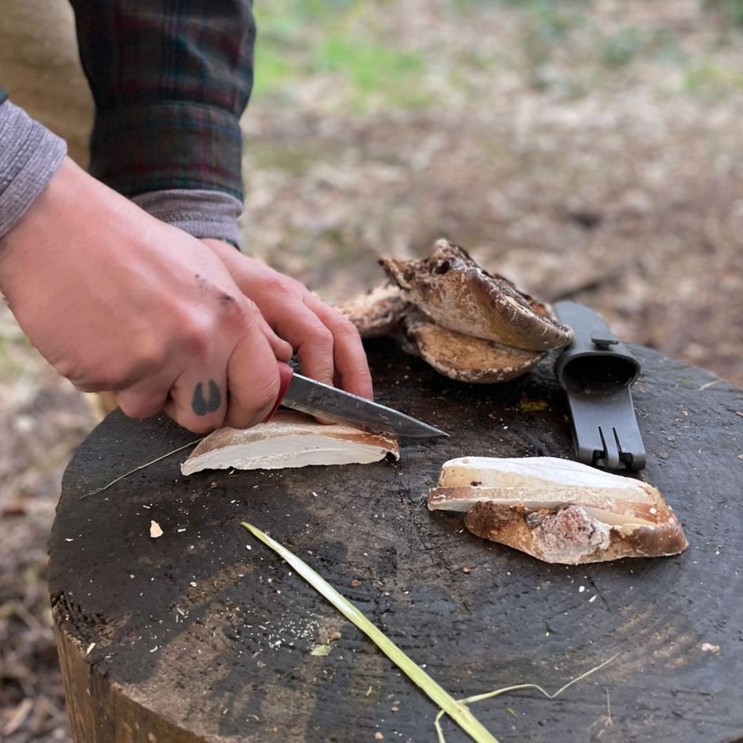 Preparing a fungi for charring.