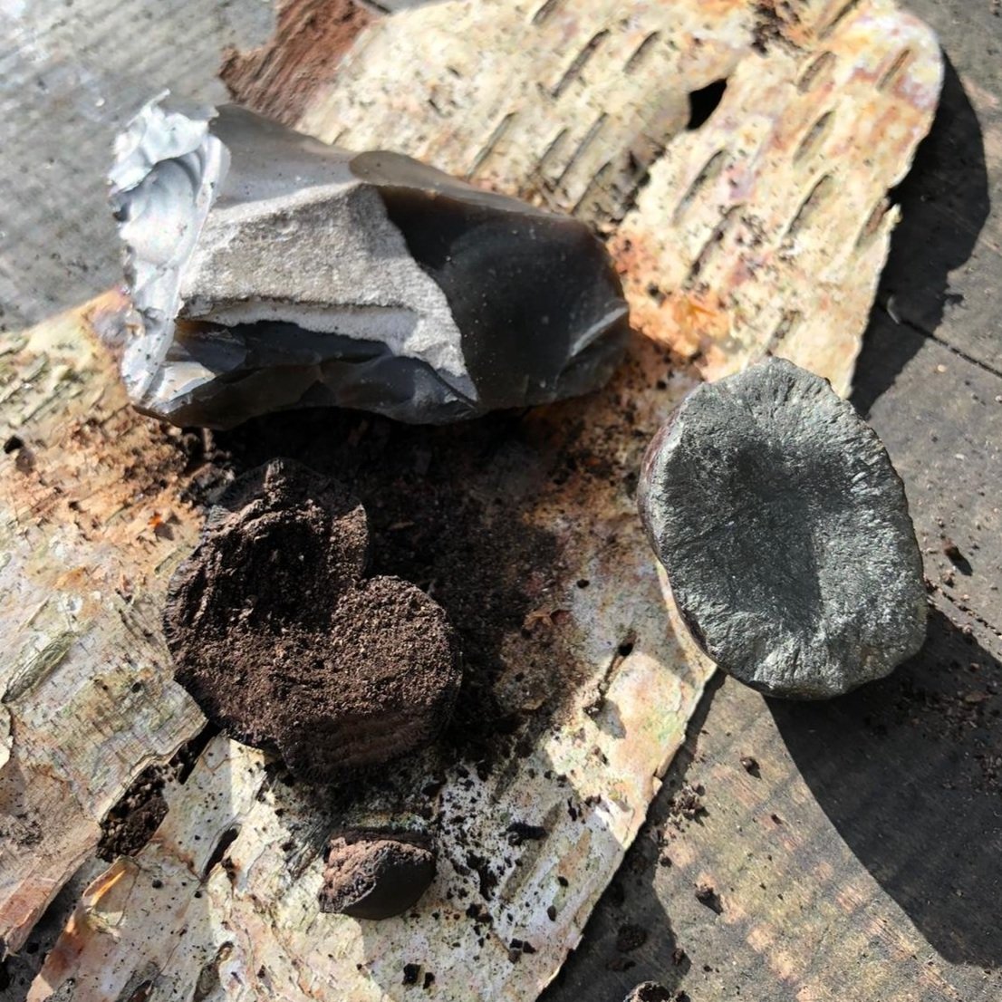 More fungus!