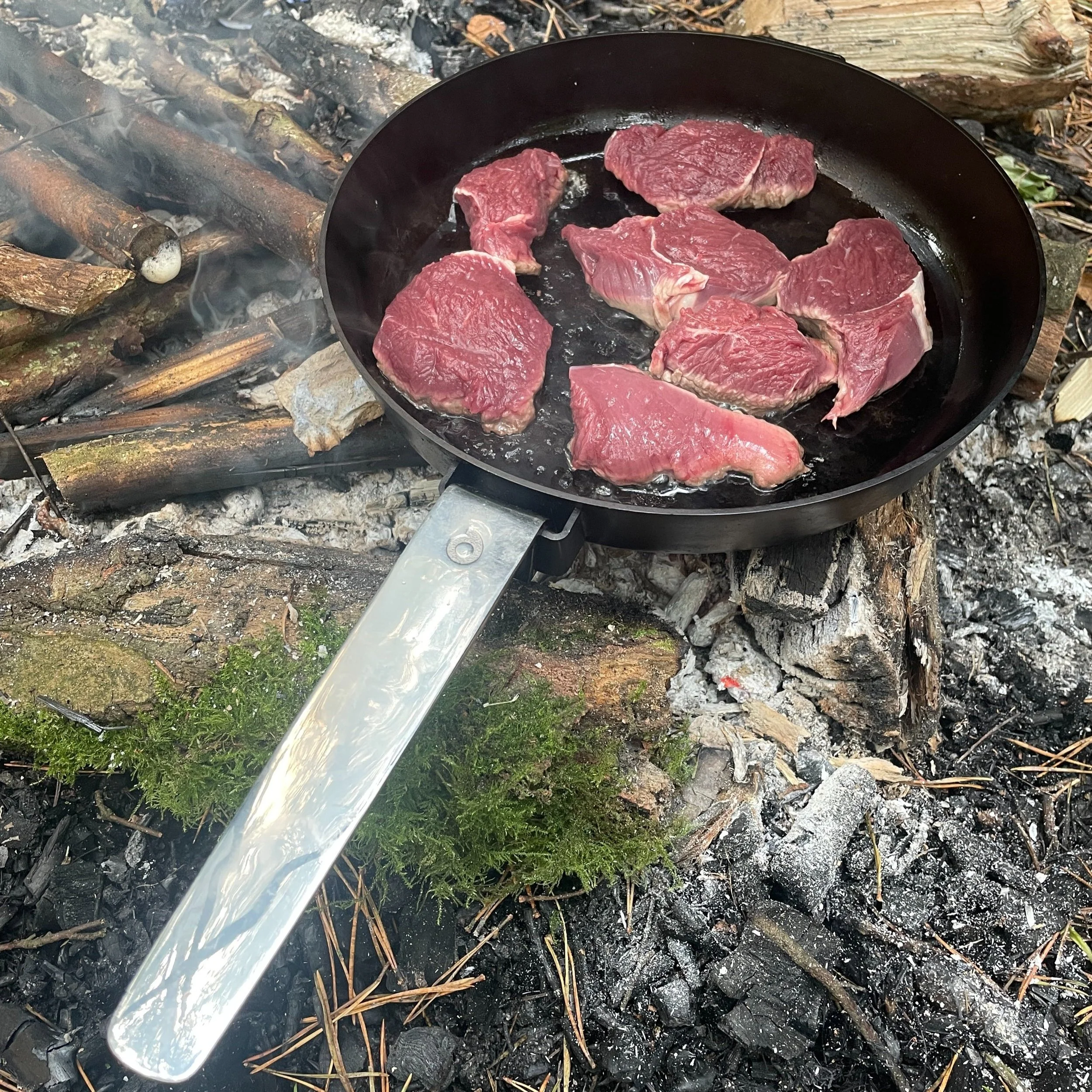 Venison Tenderloin steaks