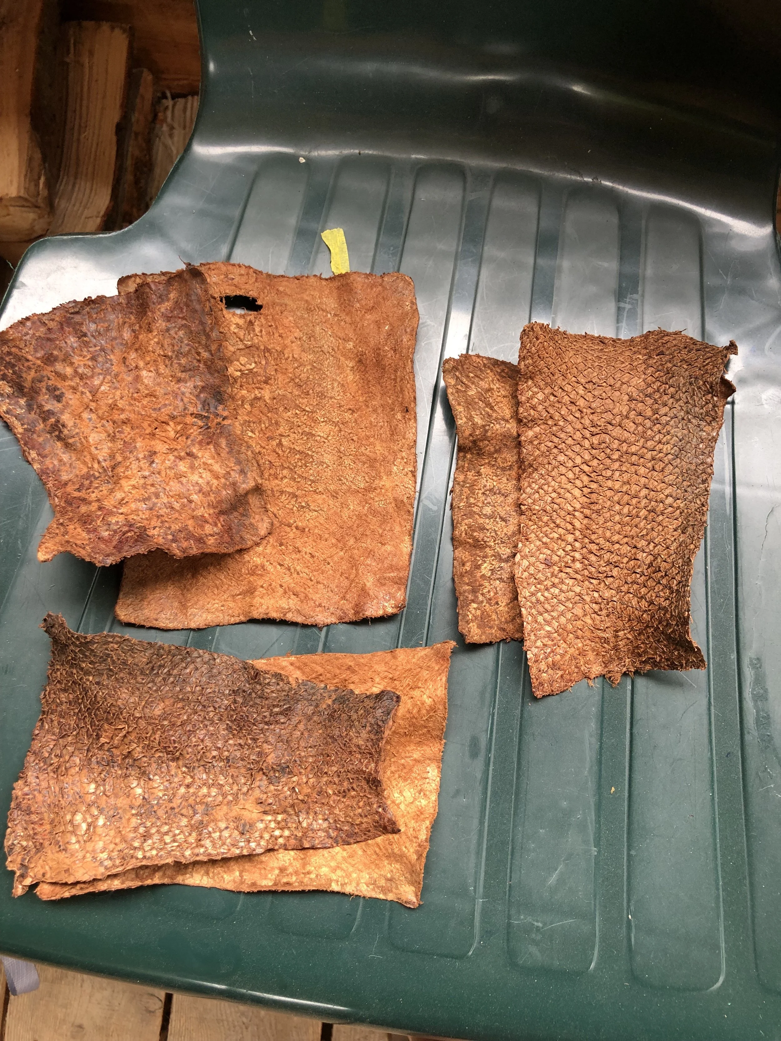 Dried and prepared skin