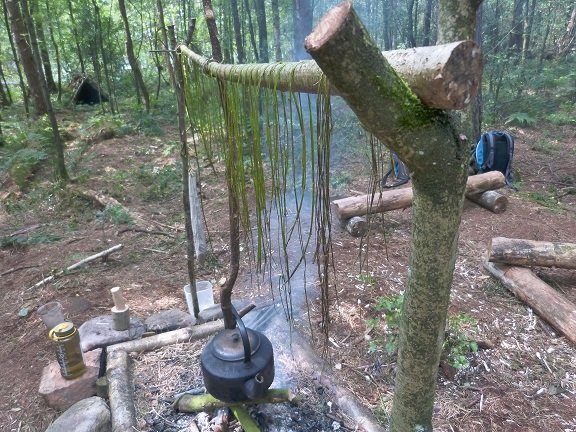 Nettle drying to be used for natural cordage on our Introduction to Bushcraft course