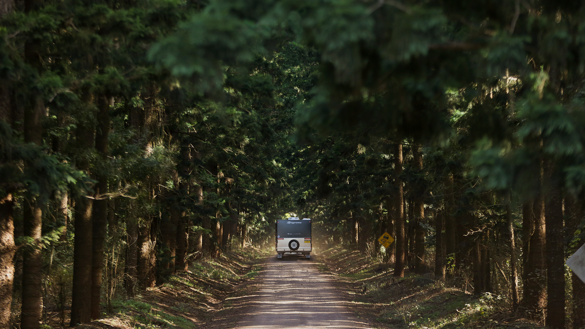 Fee Millist Creative Portfolio NRMA SLOWAYS Lifestyle+1.png