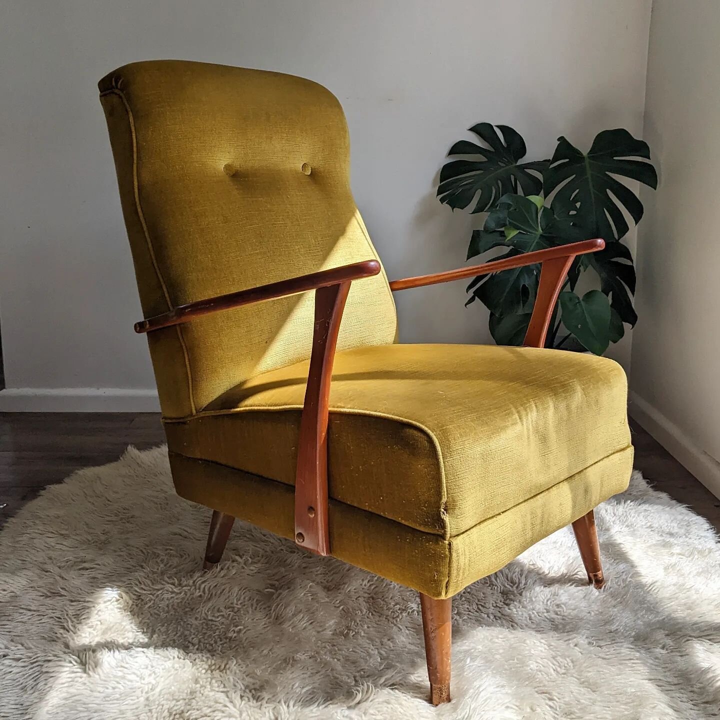 [SOLD] Seat dreams are made of these.

Mustard velvet, tapered legs and a low-profile wooden frame. Beautifully shaped armchair with original upholstery in great condition. Cute metal detailing on legs. Don't sit down if you need to be somewhere in a