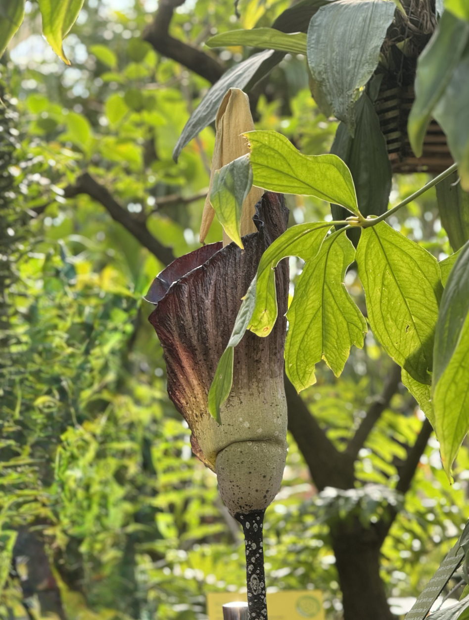 Screenshot 2026-01-23 at 11.45.56 AM.png