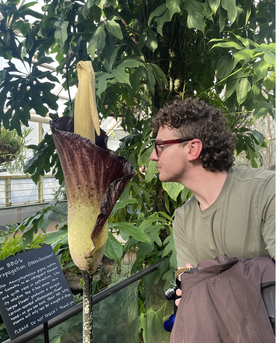 Screenshot 2026-01-23 at 11.45.31 AM.png