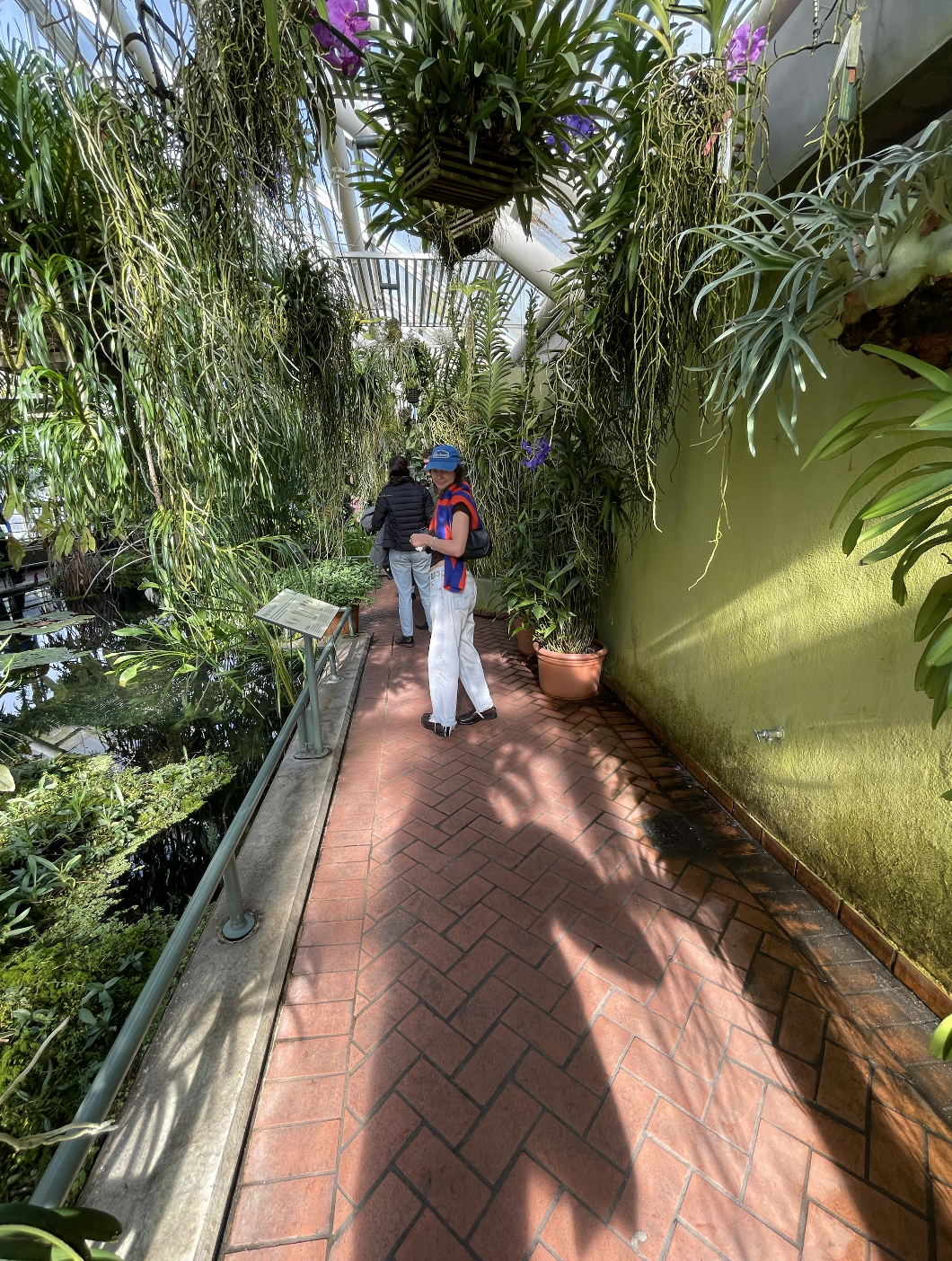 Screenshot 2026-01-23 at 11.45.39 AM.png