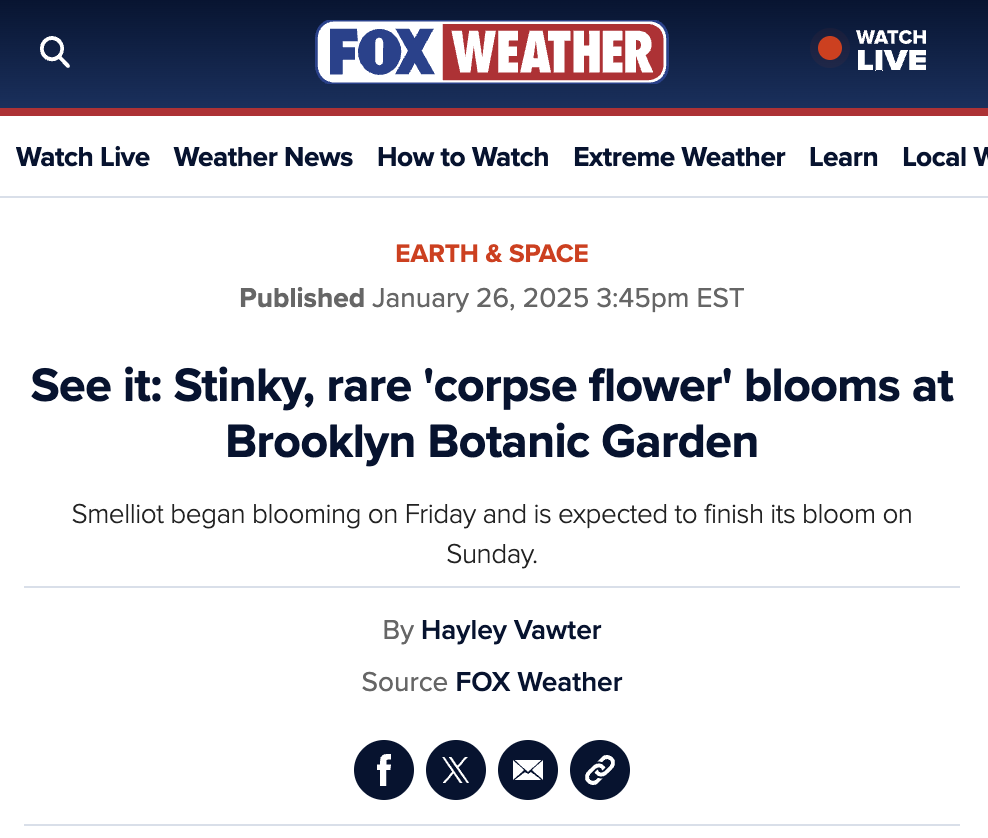 Screenshot 2026-01-23 at 11.49.25 AM.png