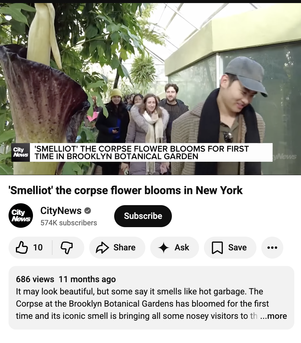 Screenshot 2026-01-23 at 11.48.47 AM.png