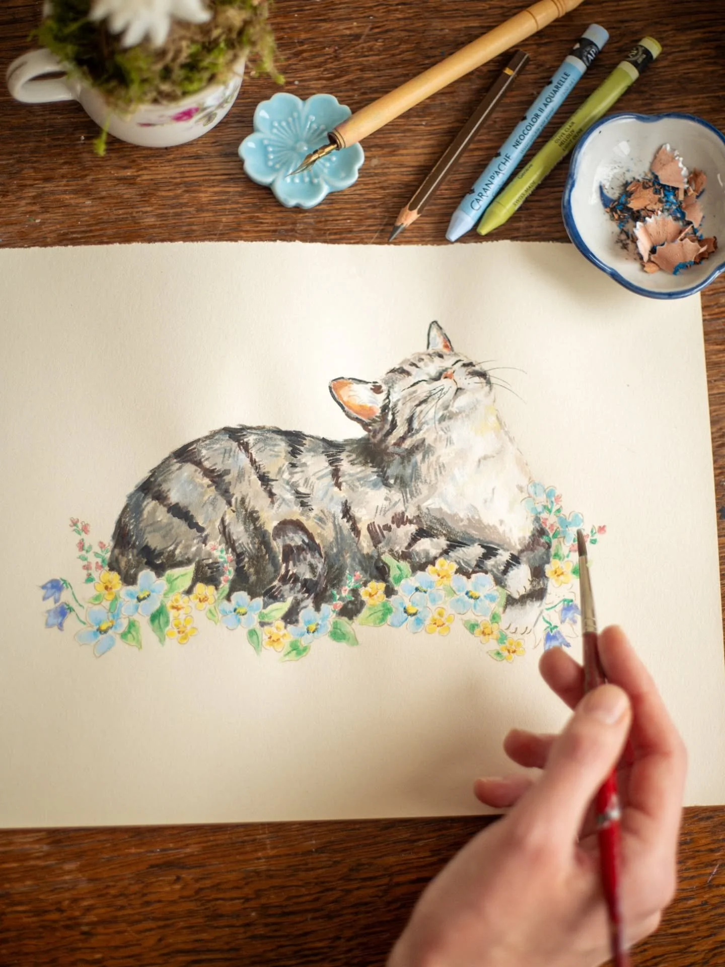 As spring awakens, the blooming flowers inspire me more than ever 🌸🐈

#springflowers #earlyspring #springillustration #snowdrops #journalinspiration