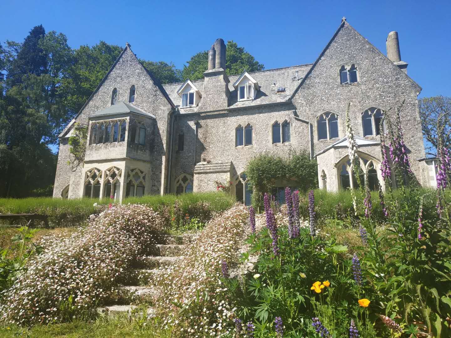 Monkton Wyld front and steps.jpg