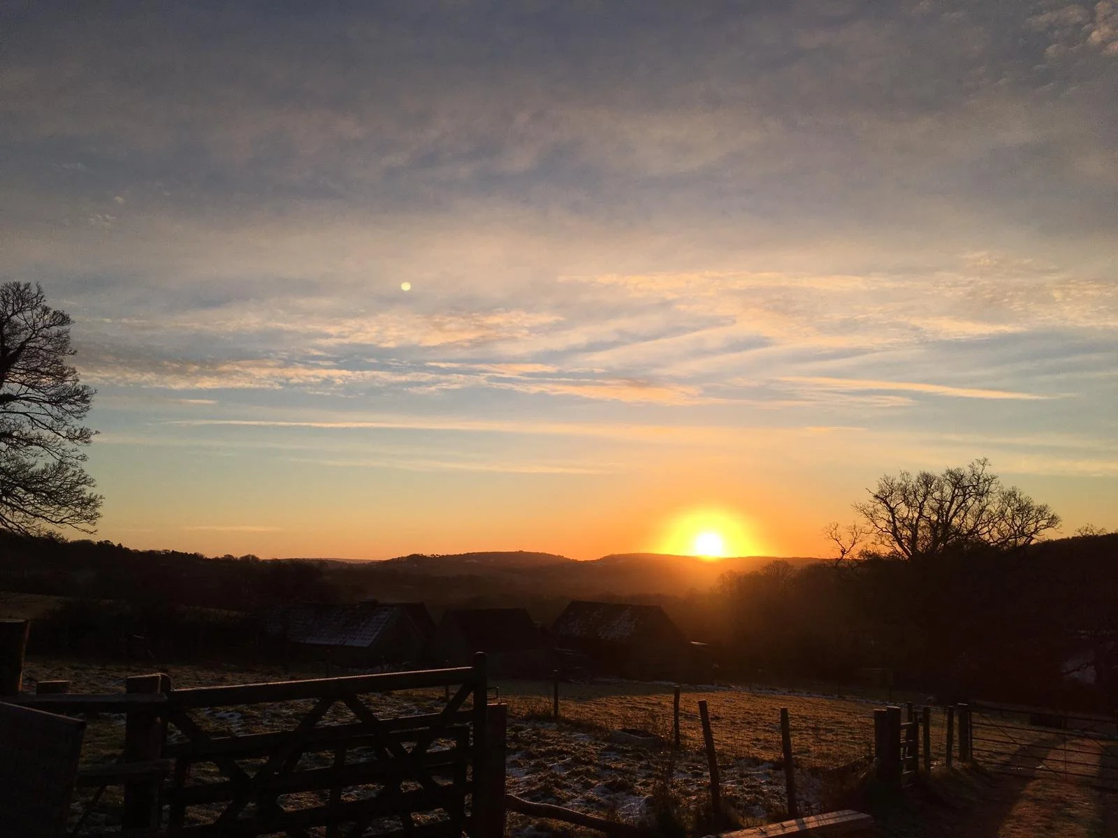 WhatsApp Image 2019-02-03 at 20.40.53.jpeg (Copy)