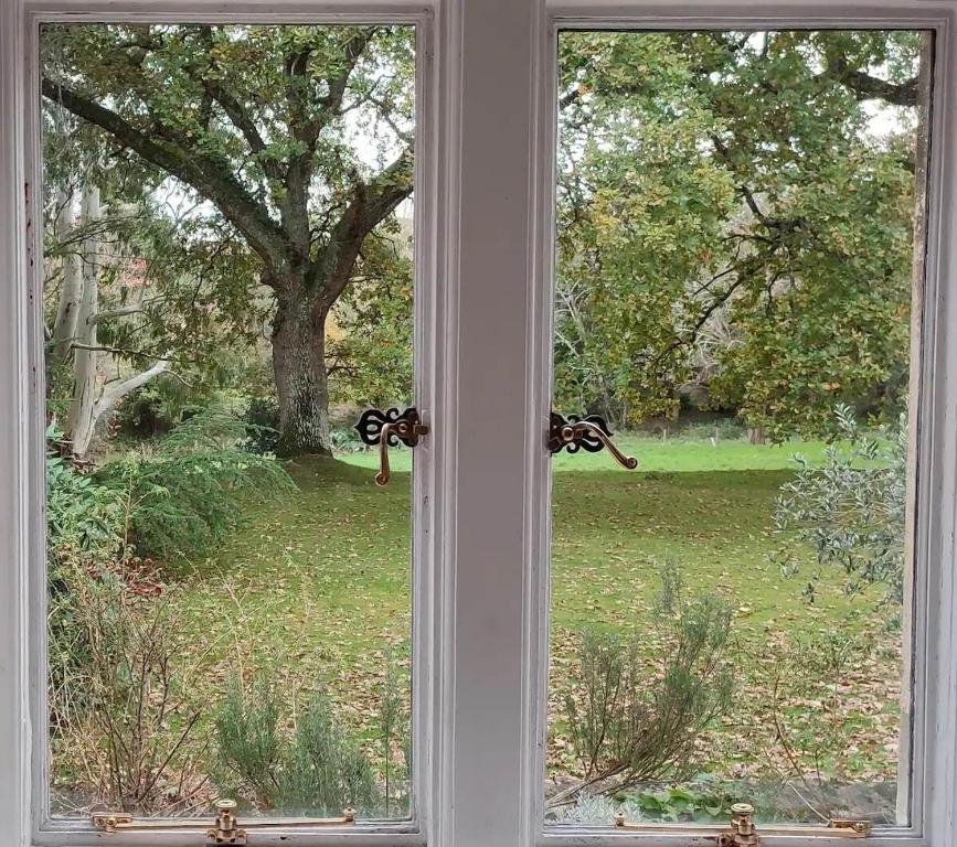 arenewood manor window view.jpg