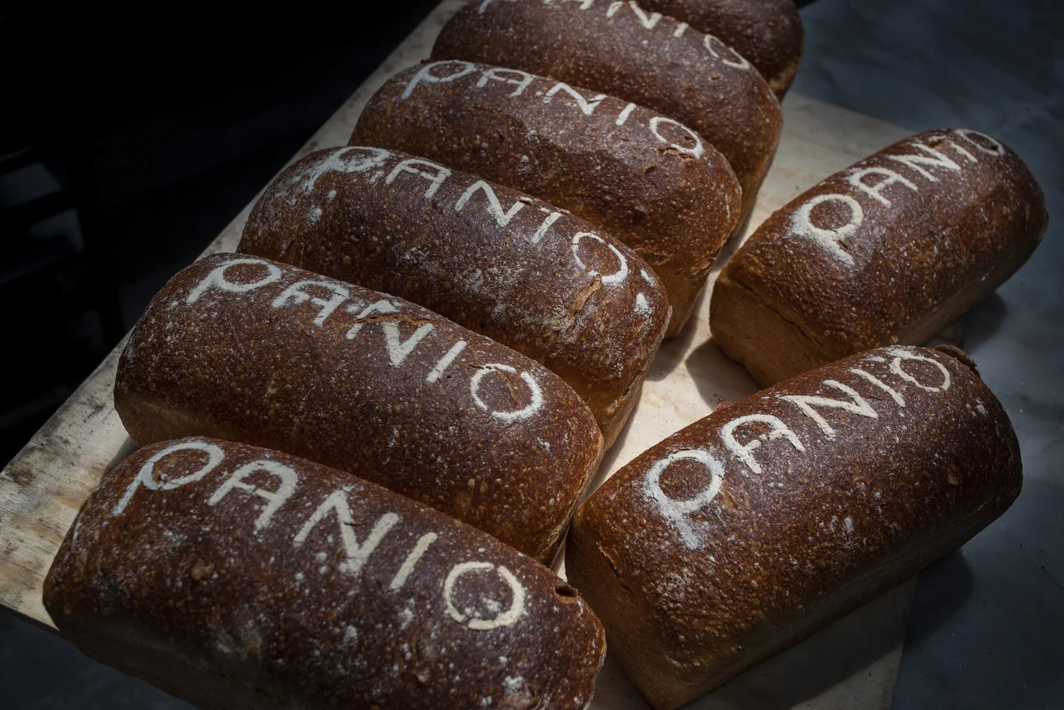 PANIO | Descubre y Saborea