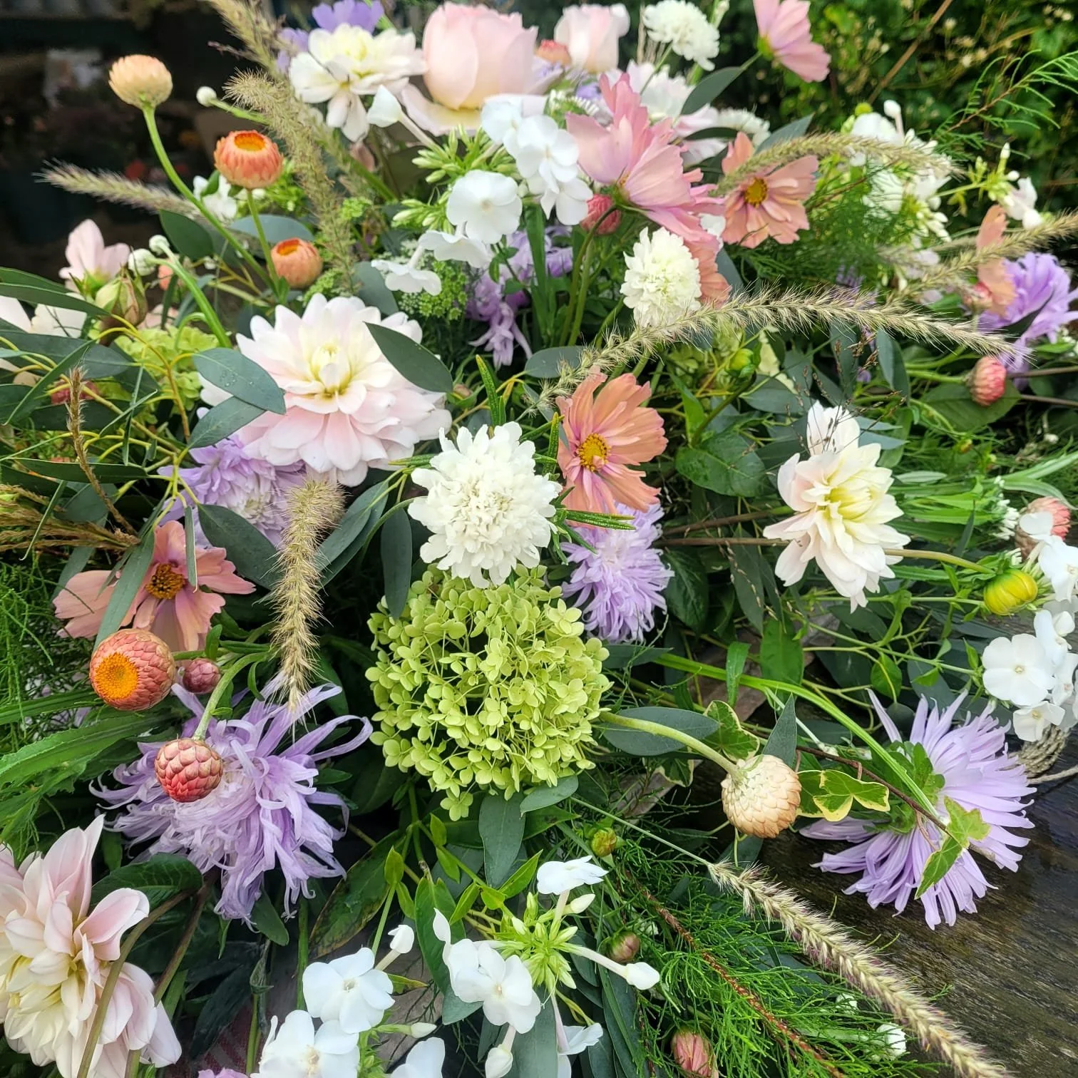 An assortment of colorful flowers including pink, white, purple, and orange blooms with green foliage and tall grass-like stems.