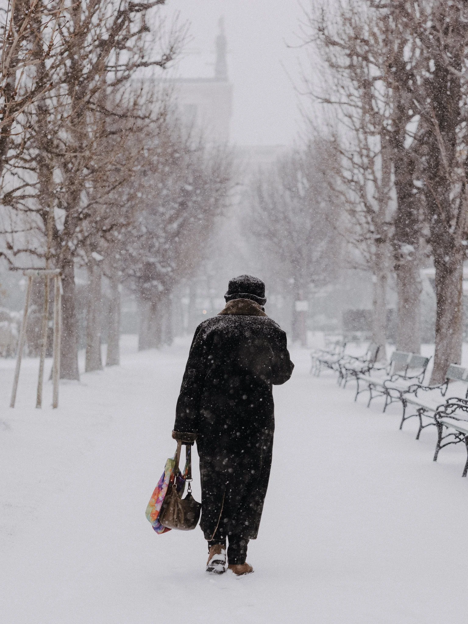 First snow of 2026 / Vienna