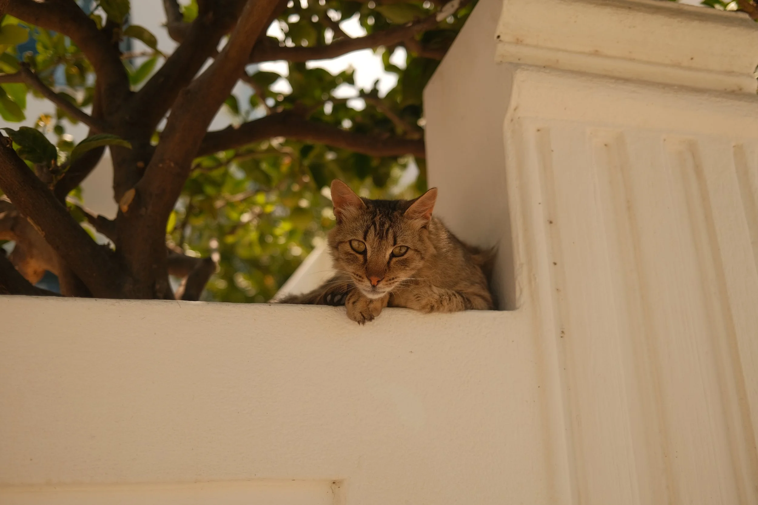 DSCF7928.JPG