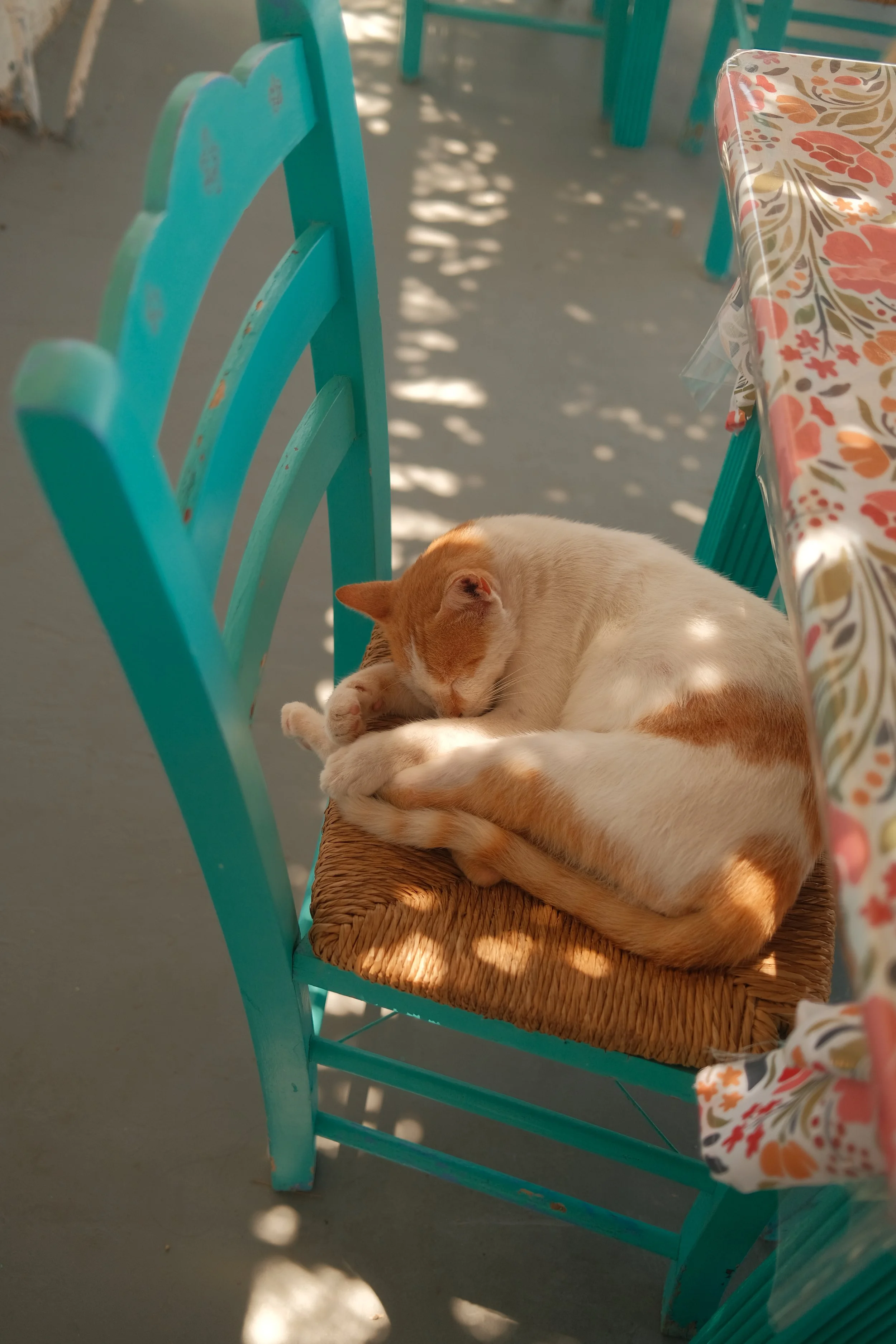 DSCF7942.JPG