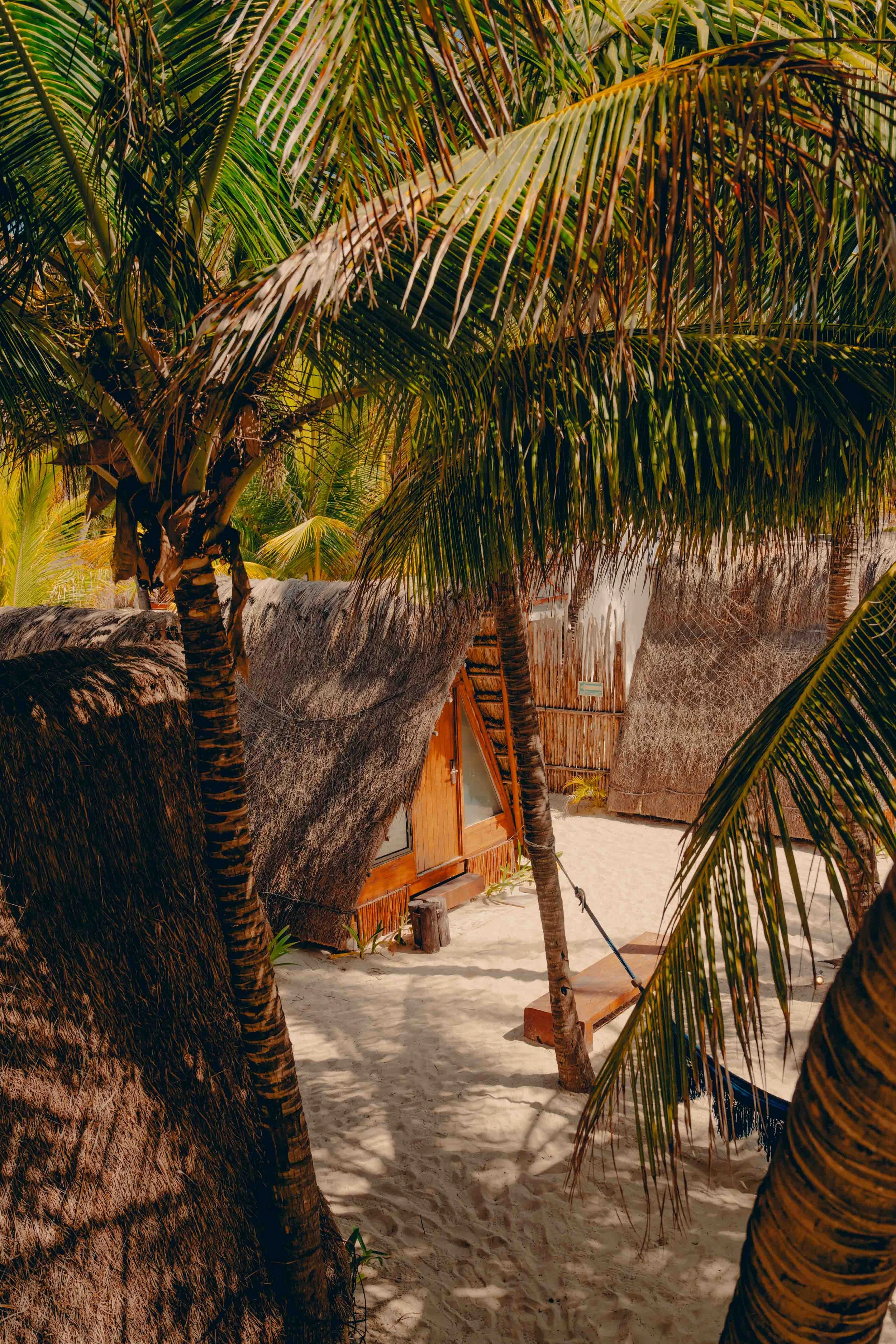 A7R00003.jpg