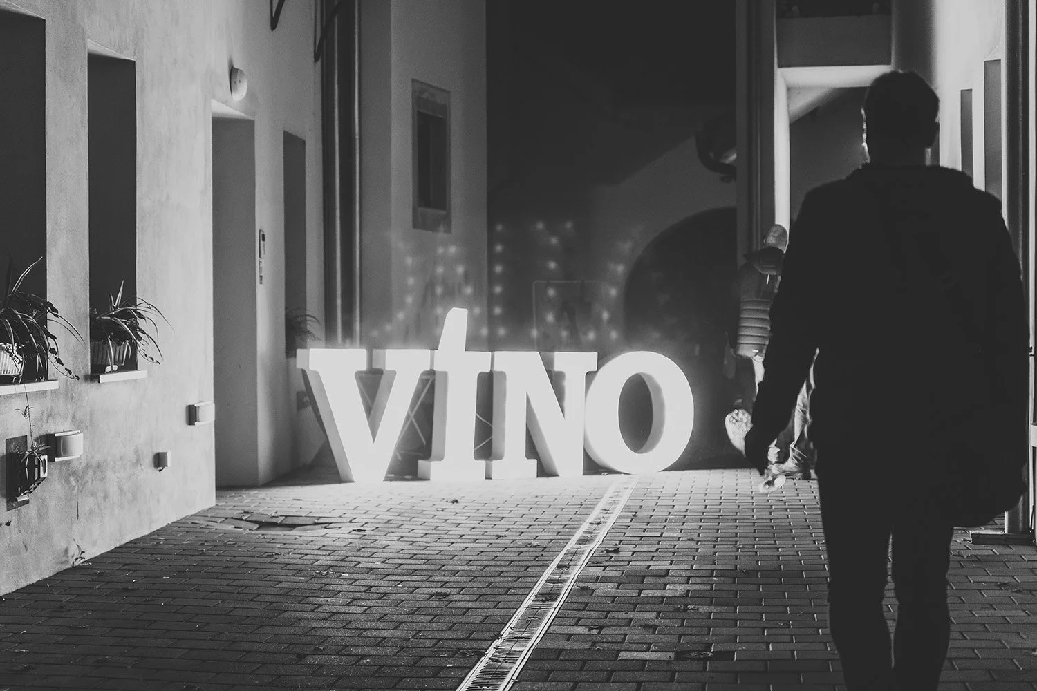 Vino z Modry Male divy Malych Karpat.jpg