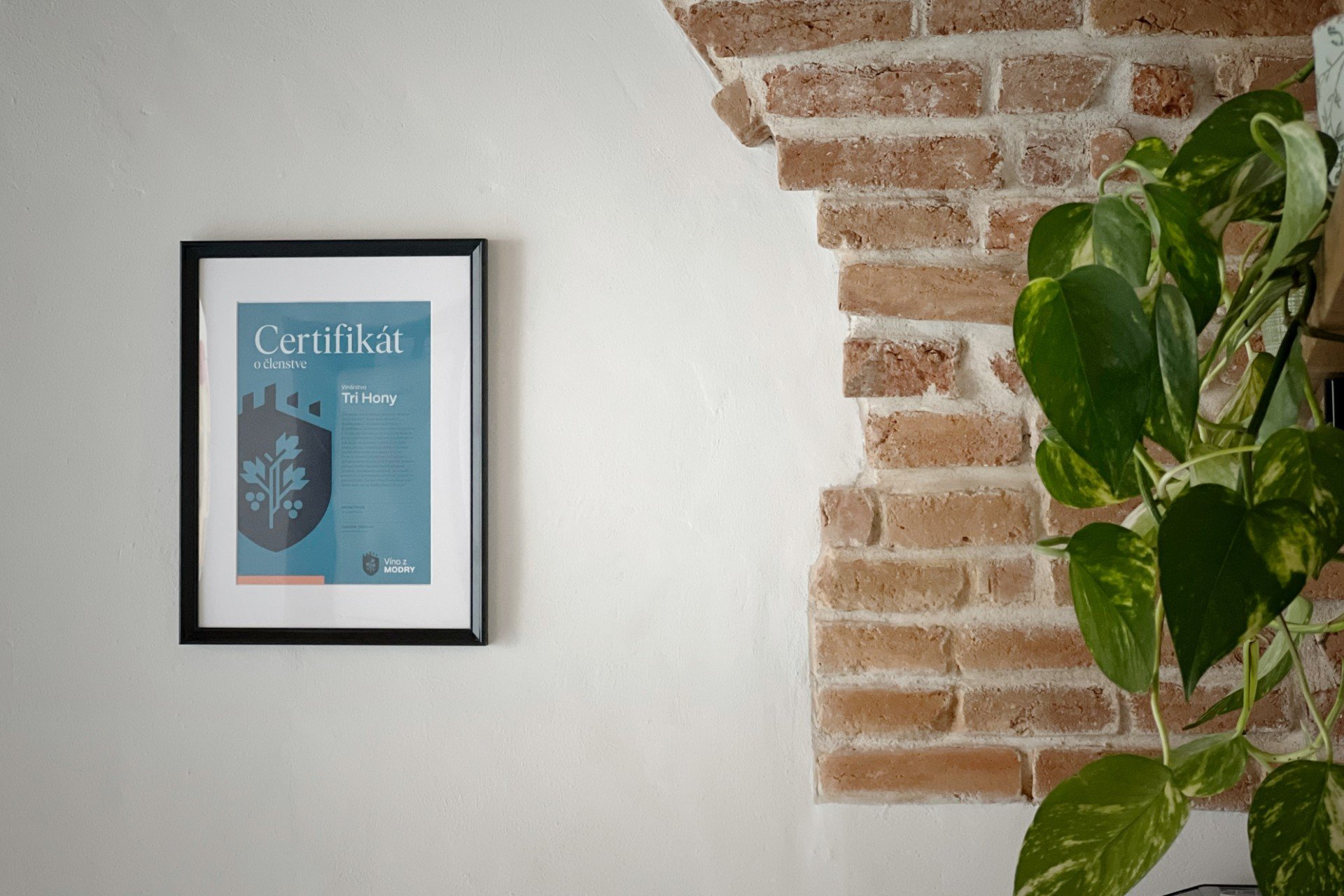 Certifikat 2.jpg