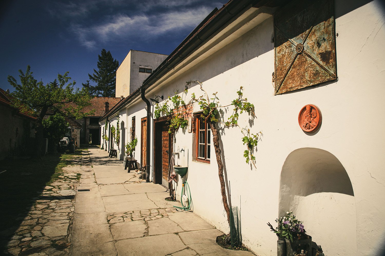Vinohradnicky dvor vino Fiala Vino z Modry.jpg