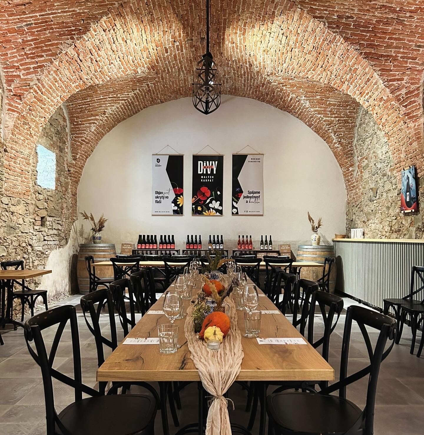 Degustacna pivnica Male divy Malych Karpat Vino z Modry.jpeg