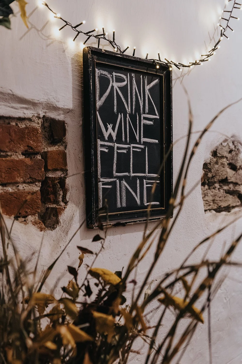 Vino z Modry Vino Purus Den otvorenych pivnic Vinarstvo Fiala.jpg