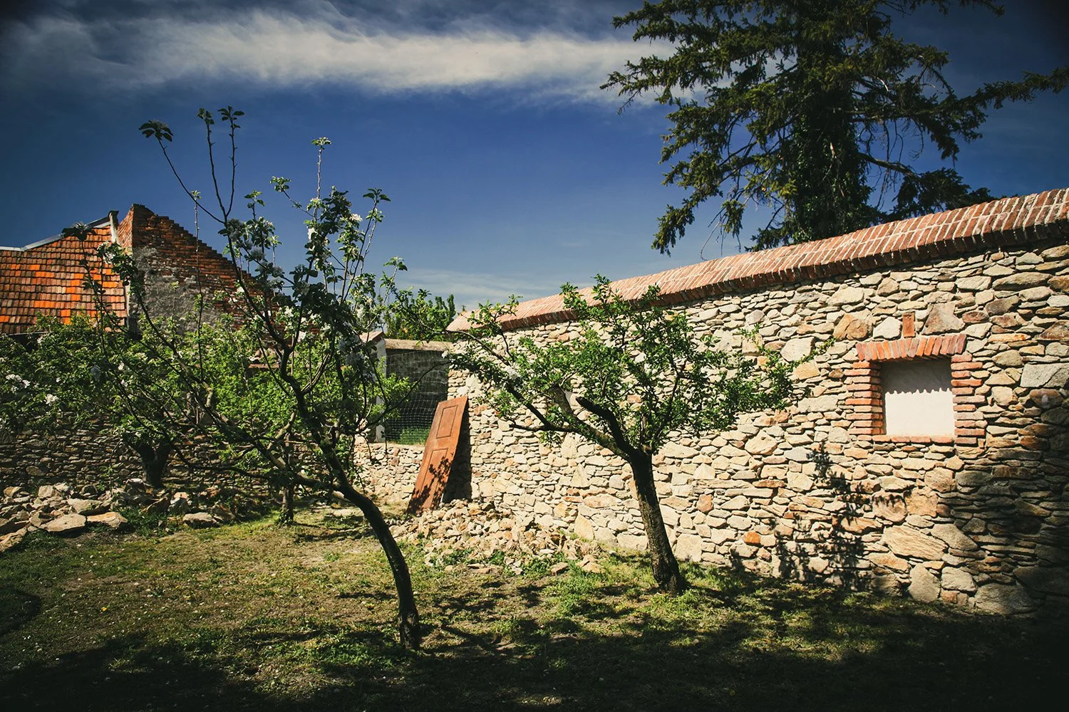 Zakutia modranskych vinarov na Otvorenych pivniciach svateho Urbana.jpg