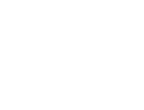 mvo-wit-logo.png
