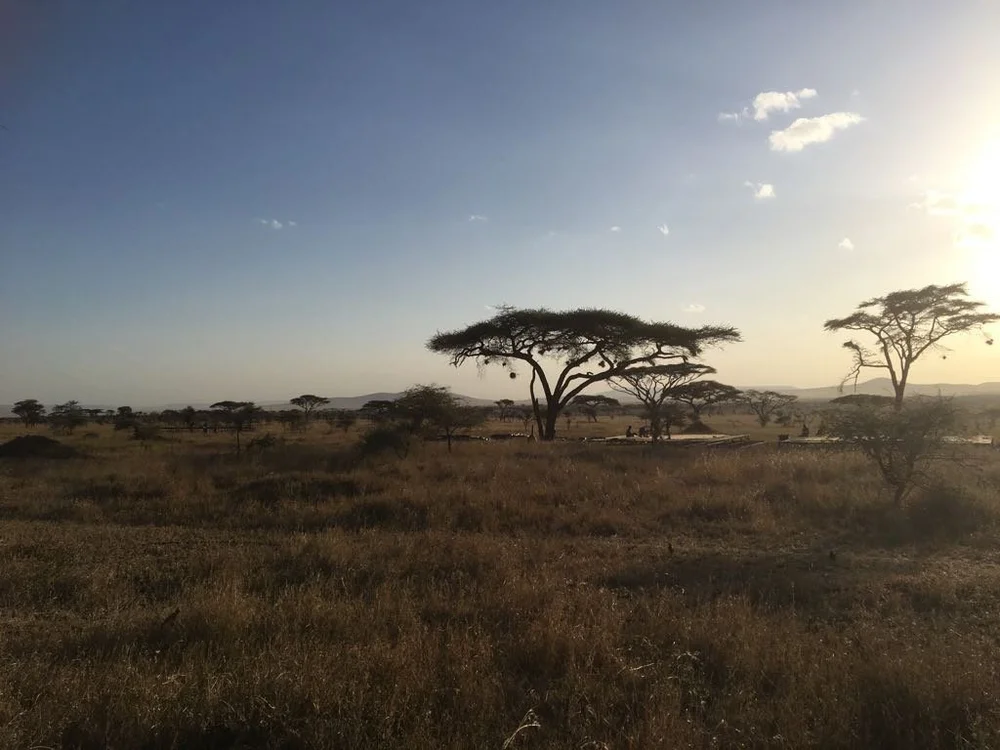 SMall-Luxury-camps-Serengeti-03.jpeg