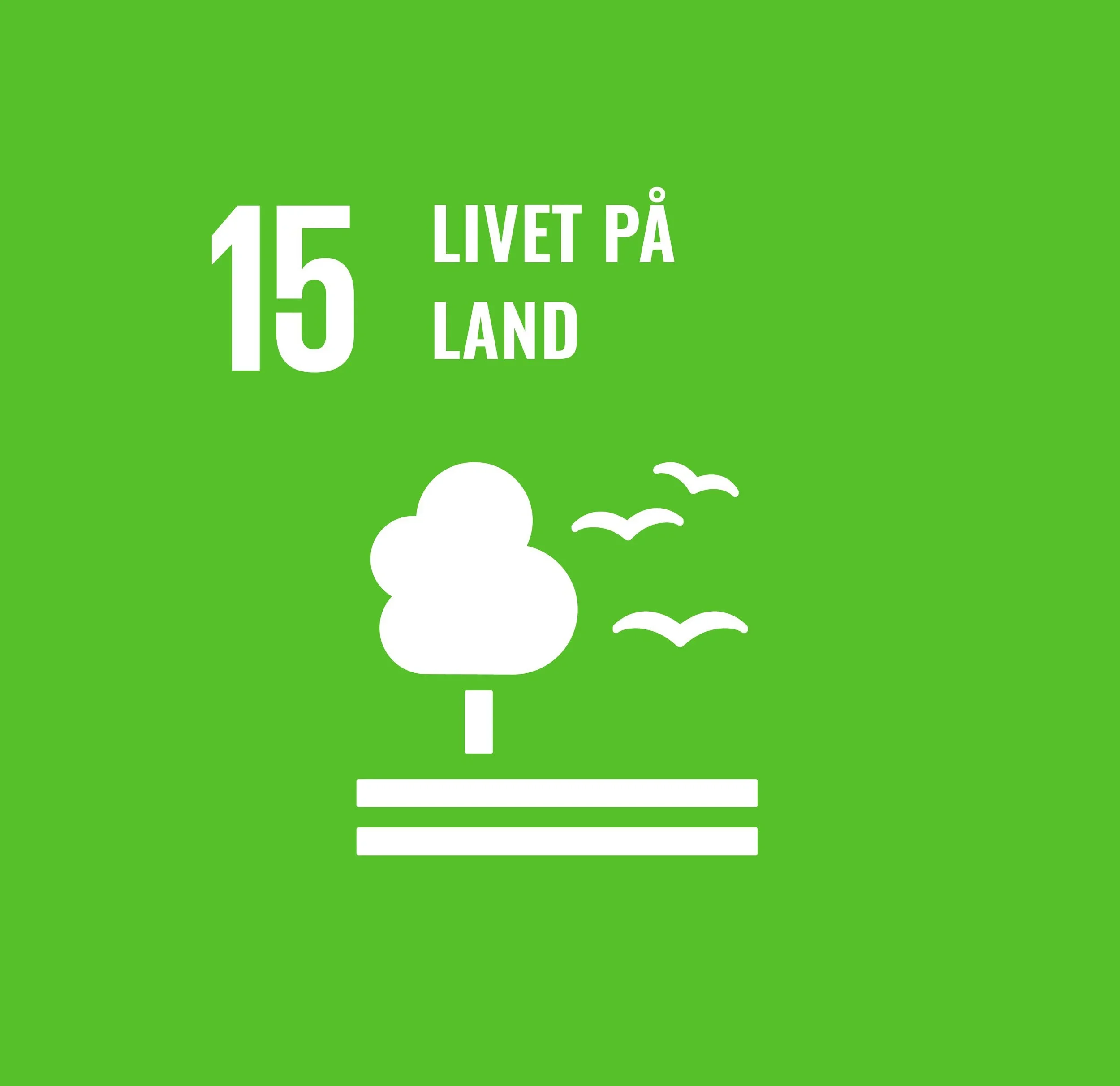 Grønn bakgrunn med hvit tekst som sier '15 LIVET PÅ LAND', noen hvite skyer, og noen fugler som flyr.