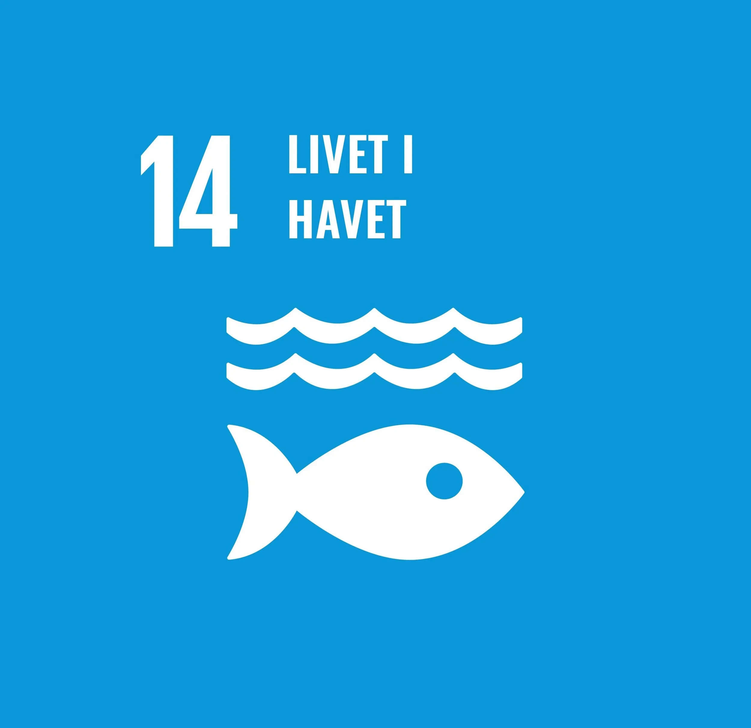En blå bakgrunn med hvit tekst som sier "14 LIVET I HAVET" og illustrasjoner av bølger og en fisk