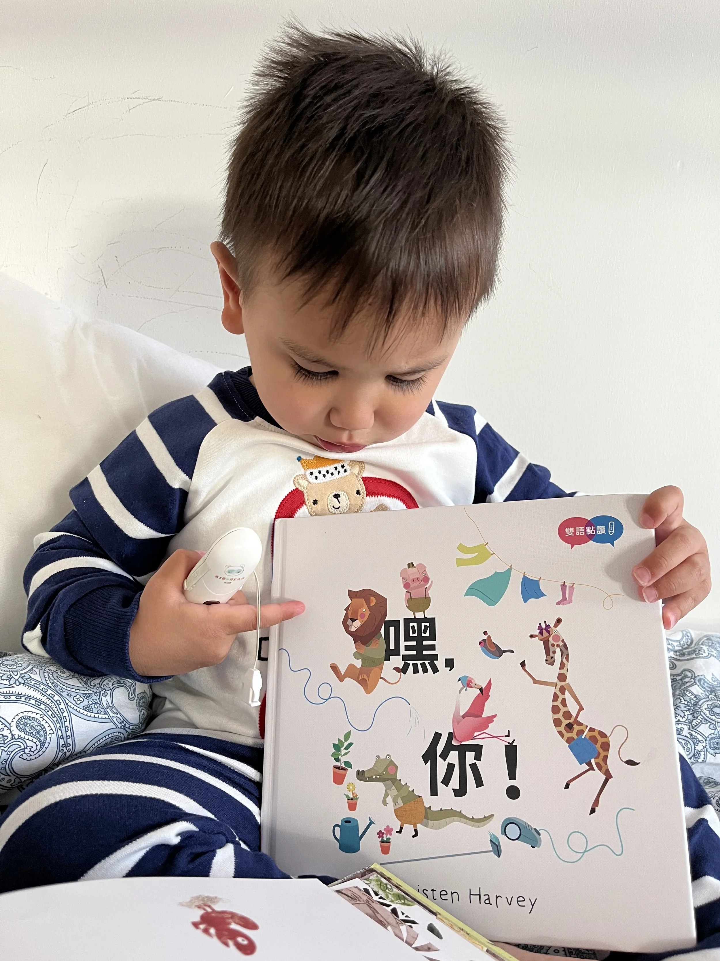 溫馨的雙語學習繪本|雙語教育|：《HEY YOU!嘿，你！》+《COLIN THE CHAMELEON不會變色的變色龍》</a>｜KidsRead點讀筆推薦✏️