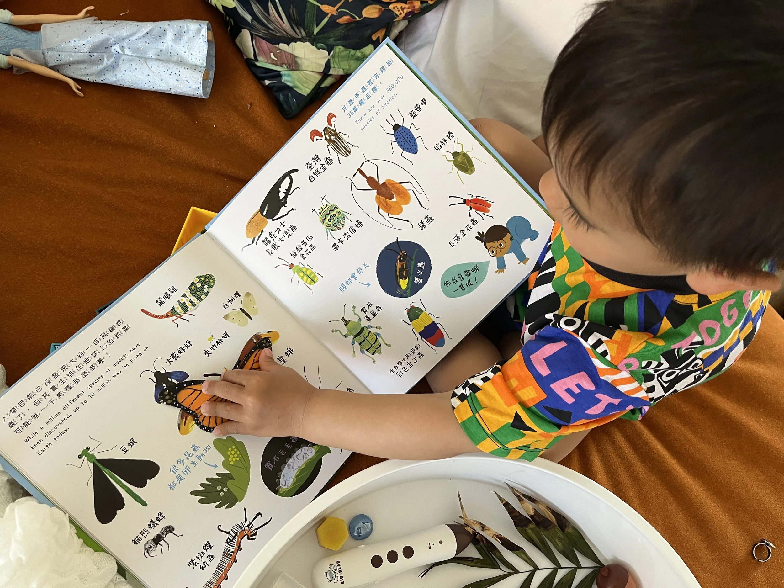 雙語英文|雙語繪本|小小書蟲俱樂部 第二輯|KidsRead點讀筆推薦